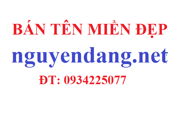 nguyendang.net