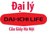 Đại Lý Daiichi Cầu Giấy Hà Nội